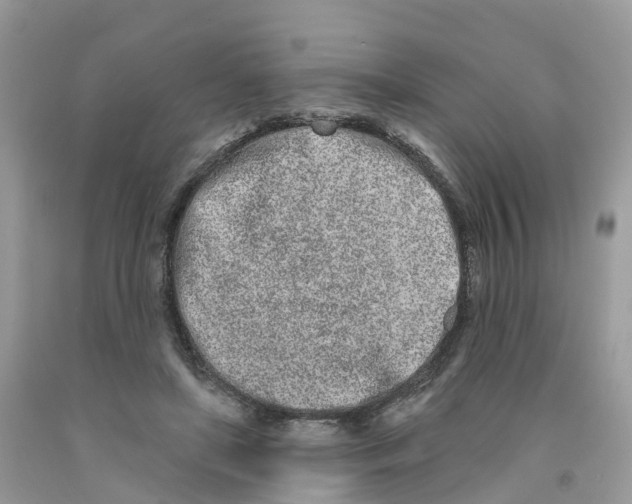 X0000091560451200709141539