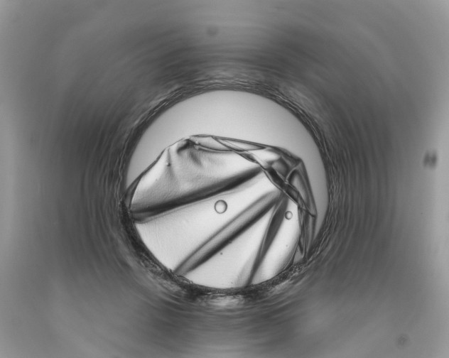 X0000091560456200709141539