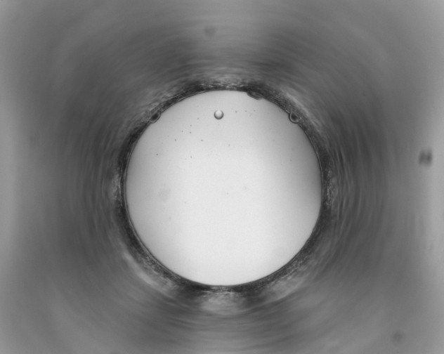 X0000091560459200709141539