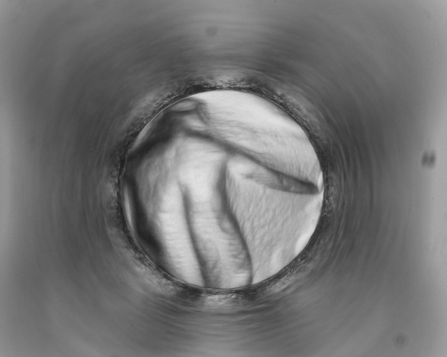 X0000091560461200709141539