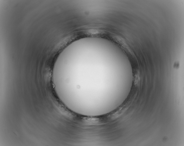 X0000091560476200709141539