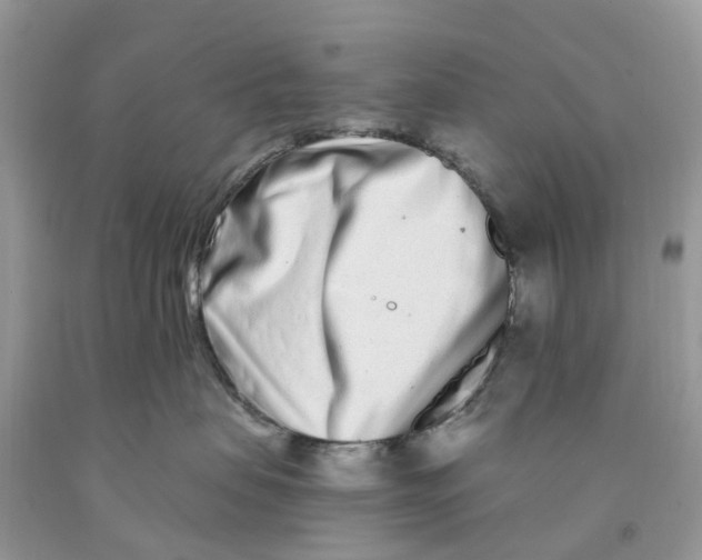 X0000091560479200709141539