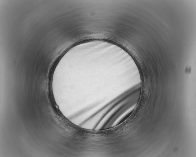 X0000091560486200709141539