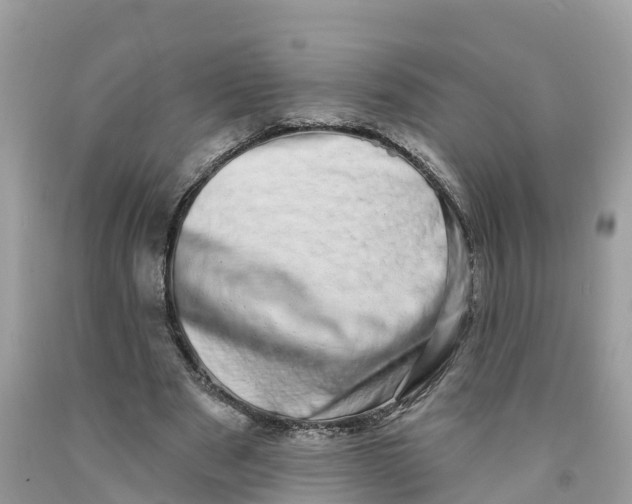 X0000091560489200709141539