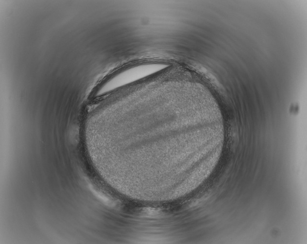 X0000091560496200709141539