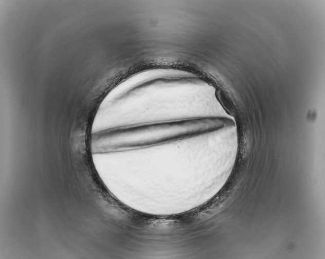 X0000091560497200709141539