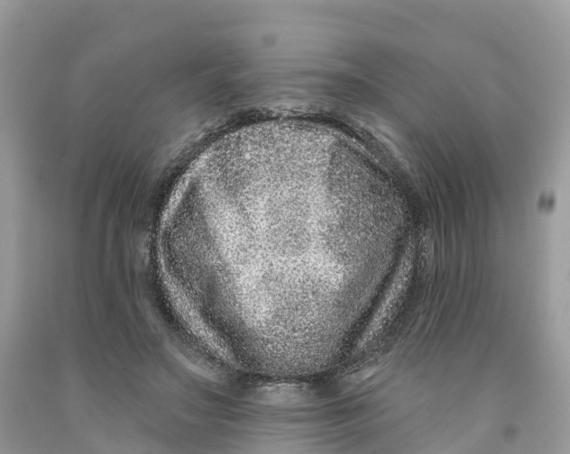 X0000091560499200709141539