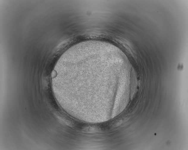 X0000091560503200709141539