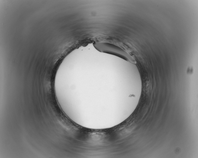 X0000091560508200709141539