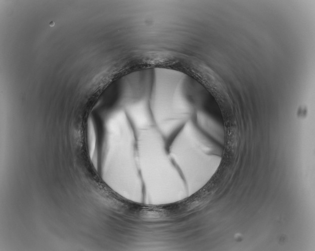 X0000091560510200709141538