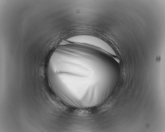 X0000091560512200709141538