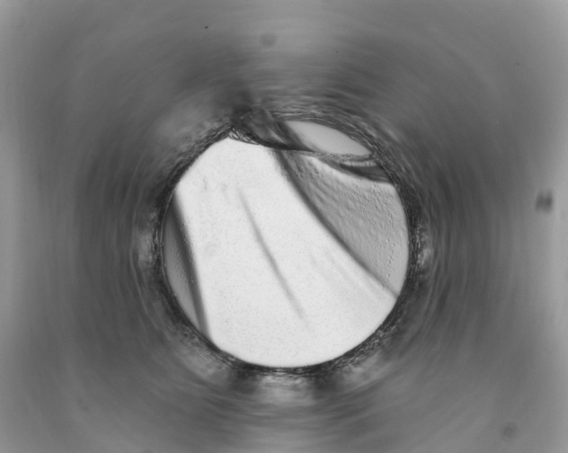 X0000091560515200709141538