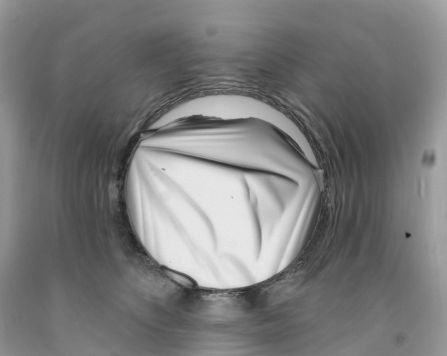 X0000091560516200709141538