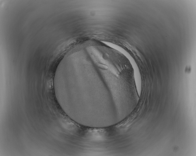 X0000091560517200709141538