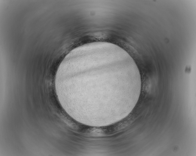 X0000091560518200709141538