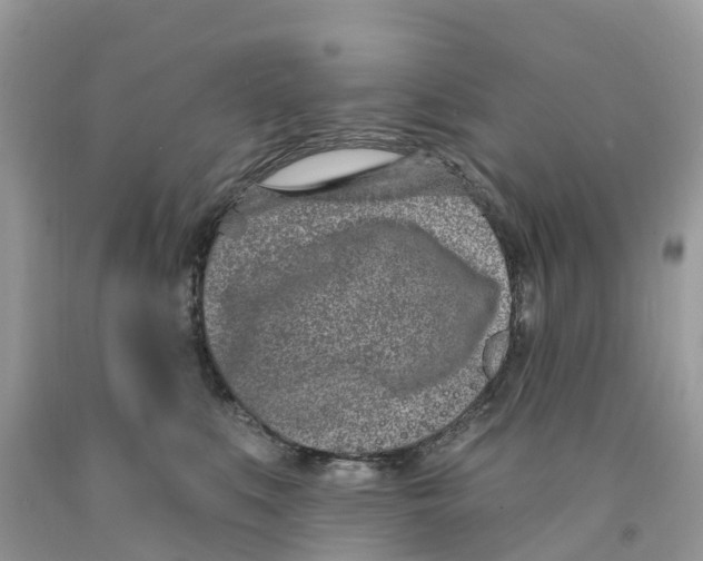 X0000091560519200709141538