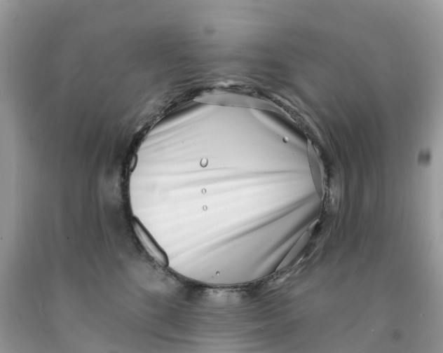 X0000091560520200709141538