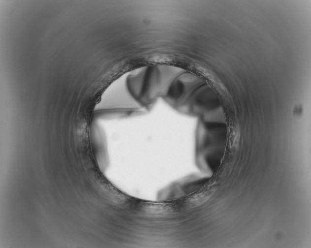 X0000091560521200709141538