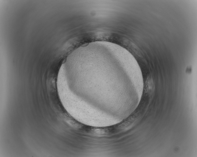 X0000091560522200709141538