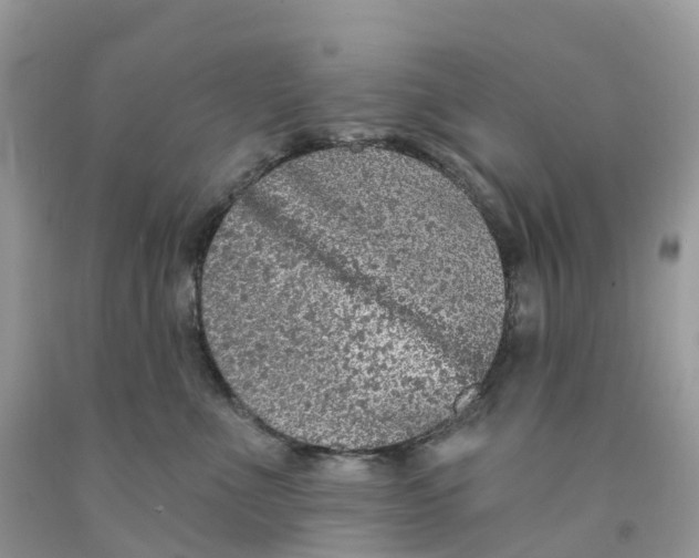 X0000091560523200709141538