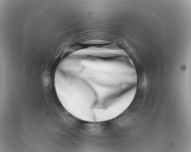 X0000091560524200709141538