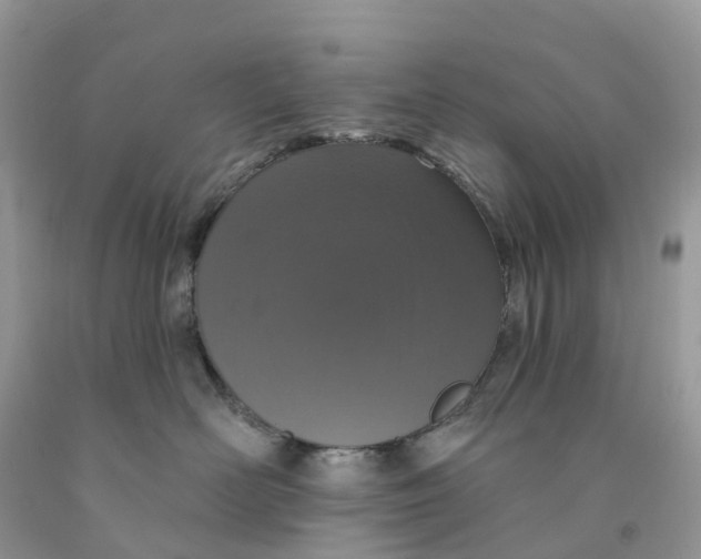 X0000091560526200709141538