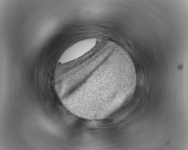 X0000091560527200709141538