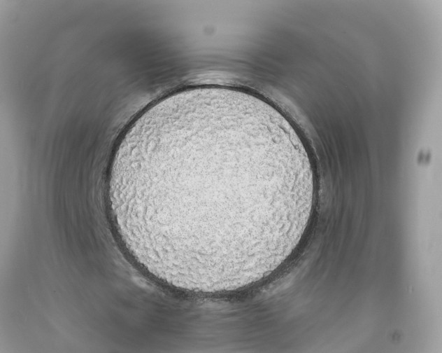 X0000091560529200709141537