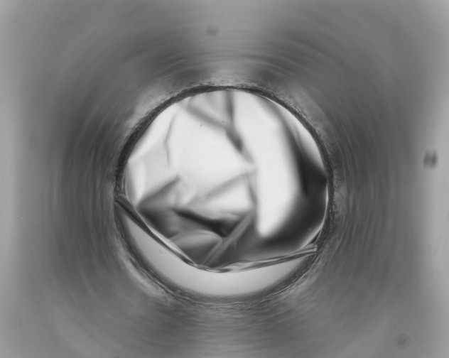 X0000091560530200709141538