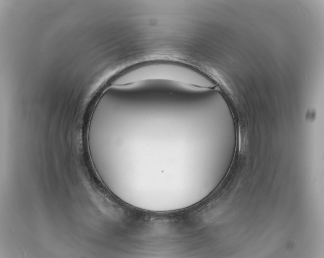 X0000091560531200709141538