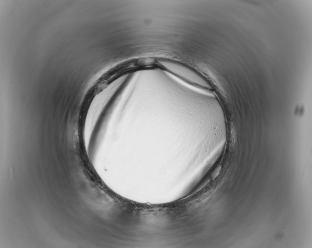 X0000091560532200709141538