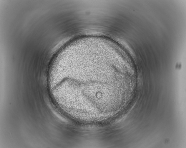 X0000091560533200709141538