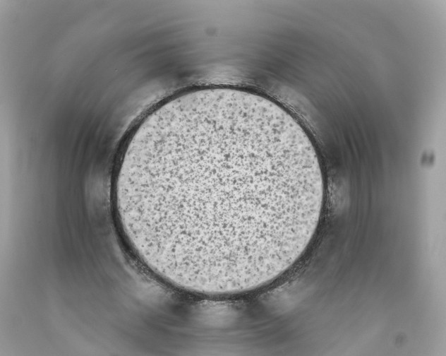 X0000091560534200709141538