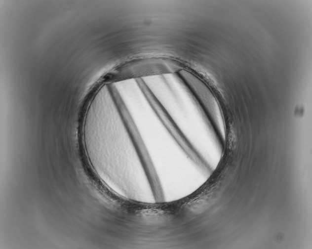 X0000091560535200709141538