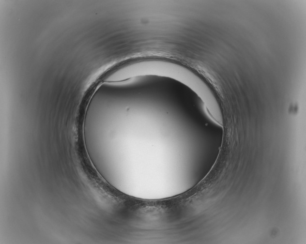 X0000091560536200709141538