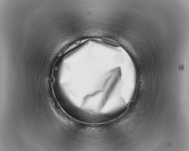 X0000091560538200709141538