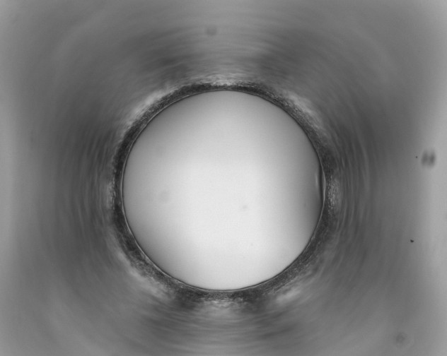 X0000091560540200709141538