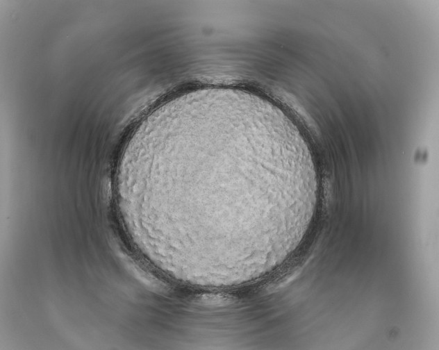 X0000091560541200709141538