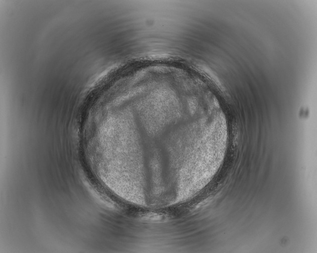 X0000091560542200709141538