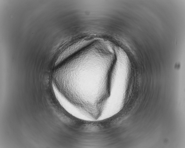 X0000091560545200709141538