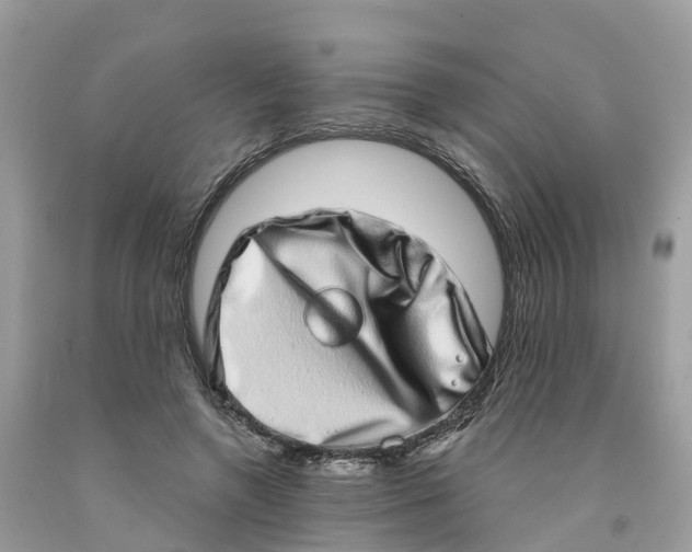 X0000091560546200709141538