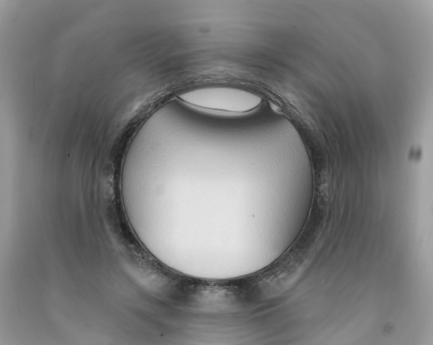 X0000091560547200709141538