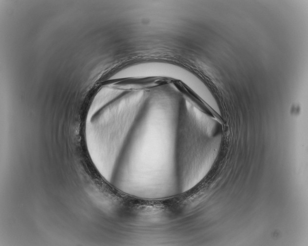 X0000091560548200709141538