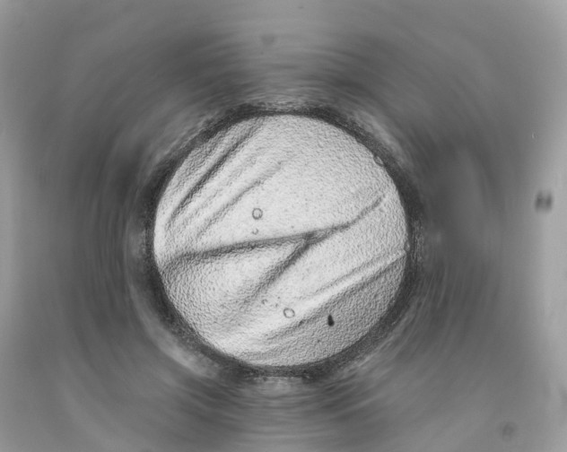 X0000091560549200709141538