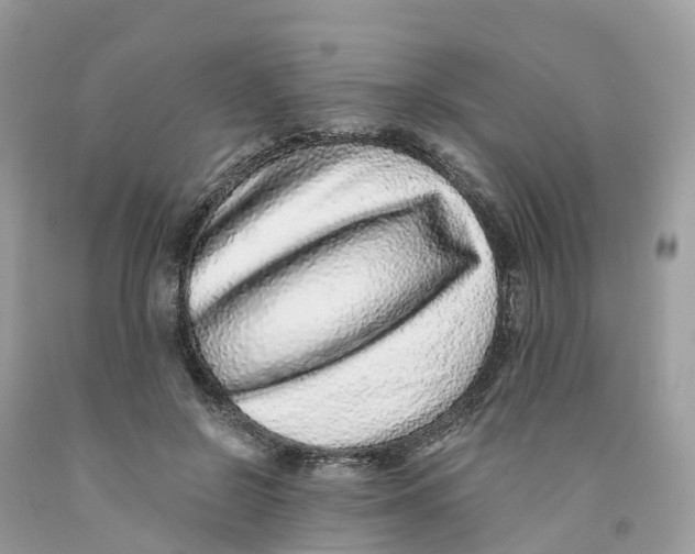 X0000091560550200709141538