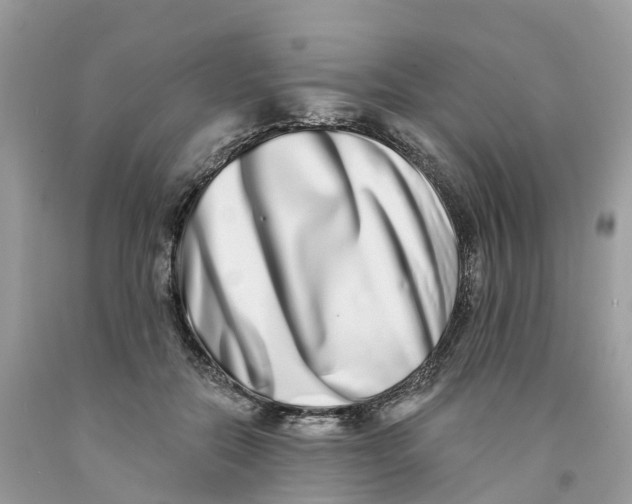 X0000091560554200709141538