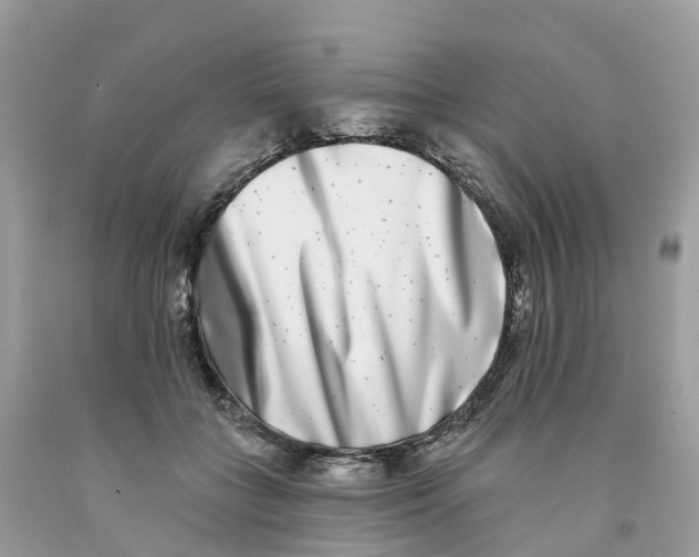 X0000091560555200709141538