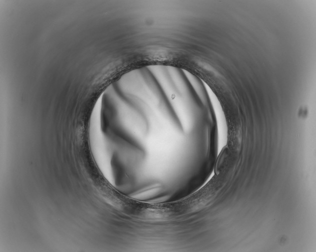 X0000091560556200709141538