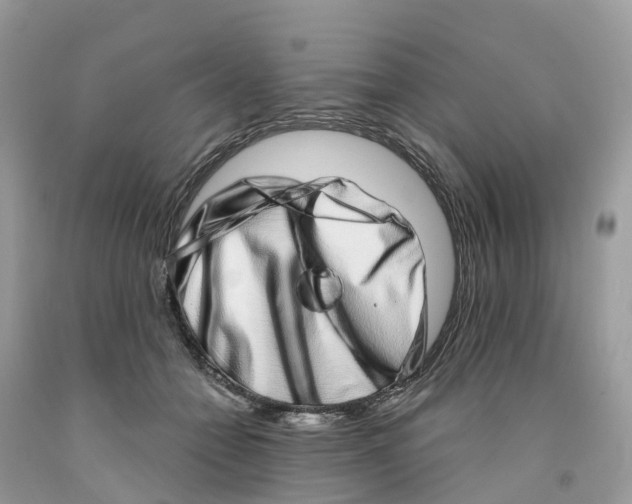 X0000091560558200709141538