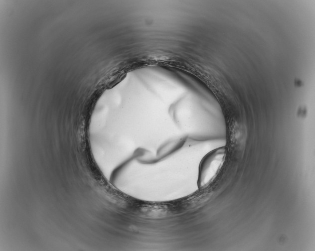 X0000091560559200709141538